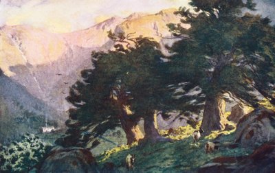 Kraina Jezior: Borrowdale Yews, wieczór (kolorowa litografia) autorstwa Alfred Heaton Cooper