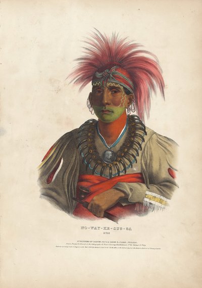 Bez sumy y - przypadek g - to Otoe autorstwa Alfred Hoffy, after Charles Bird King