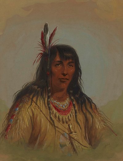  autorstwa Alfred Jacob Miller
