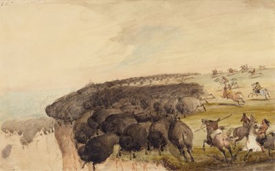 Prowadzenie stada bawołów nad przepaścią, ok. 1837 (ołówek, długopis i atrament oraz akwarela na papierze) autorstwa Alfred Jacob Miller