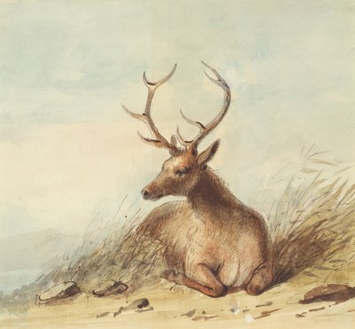 Ełk, Góry Skaliste, ok. 1837 (ołówek, pióro i atrament oraz akwarela na papierze) autorstwa Alfred Jacob Miller