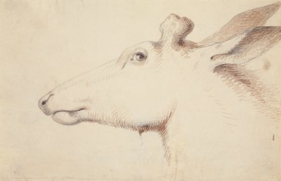 Jeleń kanadyjski. c.1837 (rysunek) autorstwa Alfred Jacob Miller