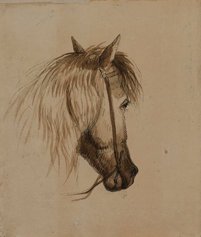 Głowa konia autorstwa Alfred Jacob Miller