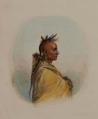 Głowa Siuksa autorstwa Alfred Jacob Miller