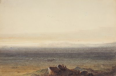 Prairie, ok. 1837 (ołówek, akwarela i gwasz na papierze) autorstwa Alfred Jacob Miller