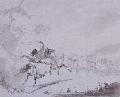 Rzucanie lassem, ok. 1837 (pióro i atrament z szarym washem na szarej karcie) autorstwa Alfred Jacob Miller