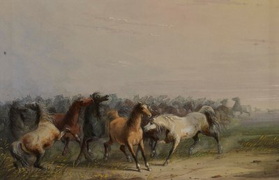  autorstwa Alfred Jacob Miller