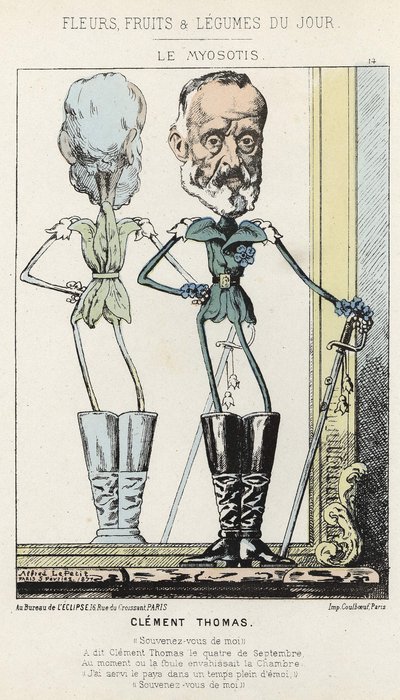 Le Myosotis: karykatura o Clément Thomas - ch. z 03.02.1871 w „Kwiaty, Owoce i Warzywa Dnia” autorstwa Alfred Le Petit