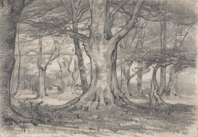Krajobraz leśny w pobliżu Boldrewood autorstwa Alfred Parsons
