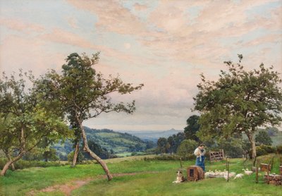 Kacze pióro (akwarela) autorstwa Alfred Parsons