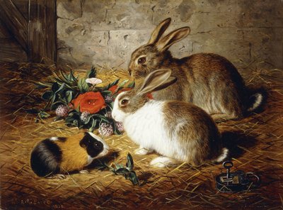 Ucieczka: dwa króliki i świnka morska, 1880 autorstwa Alfred R. Barber