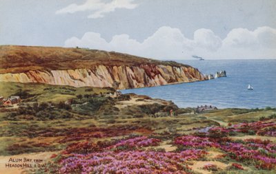 Alum Bay, z Headon Hill, IOW autorstwa Alfred Robert Quinton