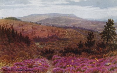 Blackdown od Hindheada autorstwa Alfred Robert Quinton