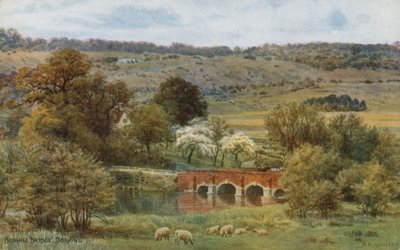 Boxhill Bridge, Dorking autorstwa Alfred Robert Quinton