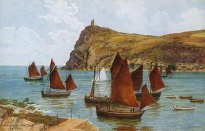 Bradda Head, Port Erin, I Man autorstwa Alfred Robert Quinton