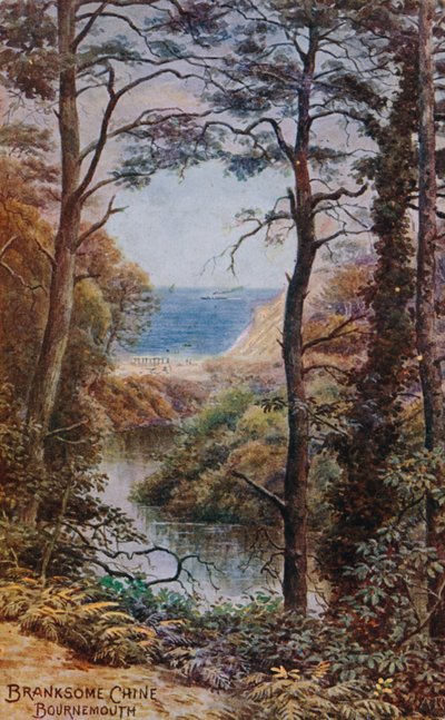 Słodki Chińczyk, Bournemouth autorstwa Alfred Robert Quinton