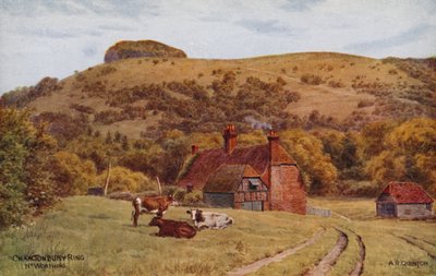 Pierścień Chanctonbury, Worthing autorstwa Alfred Robert Quinton