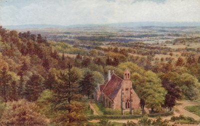 Coldharbour, Leith Hill autorstwa Alfred Robert Quinton