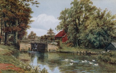 Zamek Coltishall, na Bure autorstwa Alfred Robert Quinton