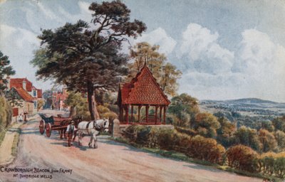 Crowborough Beacon z Frant, Tunbridge Wells autorstwa Alfred Robert Quinton