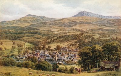 Dolgelley i Cader Idris autorstwa Alfred Robert Quinton