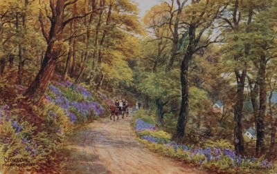 Hobby Drive, Clovelly (kolor lito) autorstwa Alfred Robert Quinton