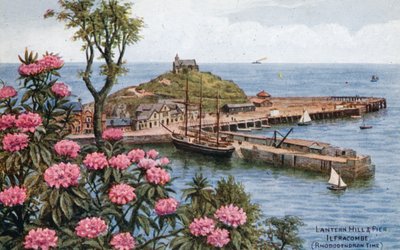 Lantern Hill and Pier, Ilfracombe, (czas rododendronów) autorstwa Alfred Robert Quinton