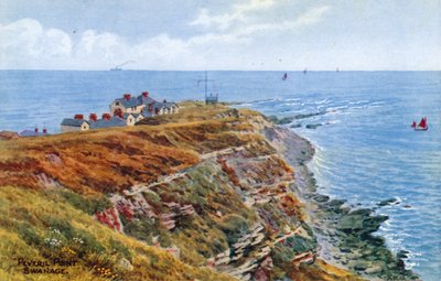 Peveril Point, Swanage autorstwa Alfred Robert Quinton