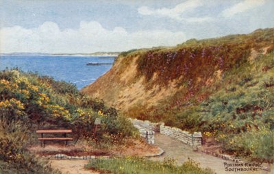 Wąwóz Portman, Southbourne autorstwa Alfred Robert Quinton