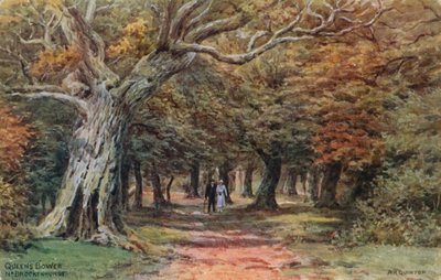 Altana Królowej w pobliżu Brockenhurst autorstwa Alfred Robert Quinton