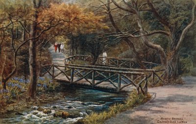Rustykalne mosty, Groudle Glen, I of Man autorstwa Alfred Robert Quinton