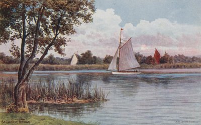 Salhouse Broad autorstwa Alfred Robert Quinton
