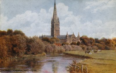 Katedra Salisbury autorstwa Alfred Robert Quinton