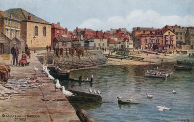 Mewy w porcie, St Ives, Kornwalia autorstwa Alfred Robert Quinton