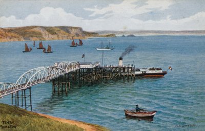 Tenby, molo i zatoka autorstwa Alfred Robert Quinton
