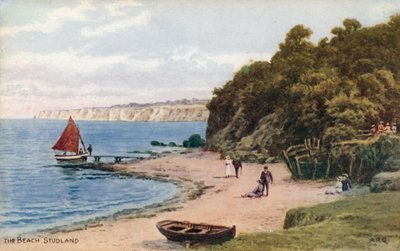 Plaża, Studland autorstwa Alfred Robert Quinton