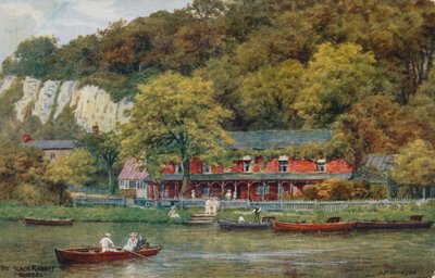 Czarny Królik, Arundel autorstwa Alfred Robert Quinton