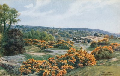 Wspólne, Tunbridge Wells autorstwa Alfred Robert Quinton