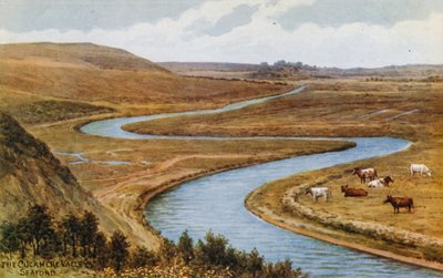 Dolina Cuckmere, Seaford autorstwa Alfred Robert Quinton