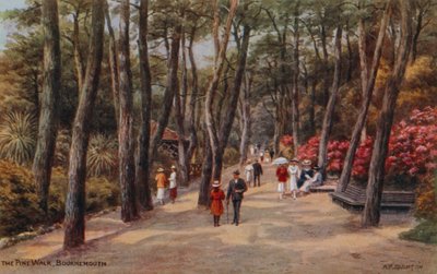 Spacer po sosnach, Bournemouth autorstwa Alfred Robert Quinton