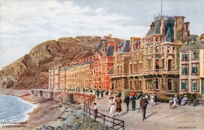 Promenada, Aberystwyth autorstwa Alfred Robert Quinton