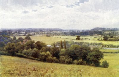 Dolina Shiplake, z Hennerton autorstwa Alfred Robert Quinton