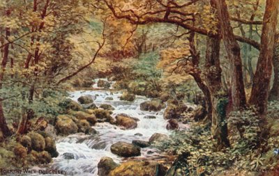 Torrent Walk, Dolgelley autorstwa Alfred Robert Quinton