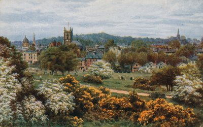 Tunbridge Wells z The Common autorstwa Alfred Robert Quinton