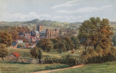 Katedra w Wells, z Milton Hill autorstwa Alfred Robert Quinton