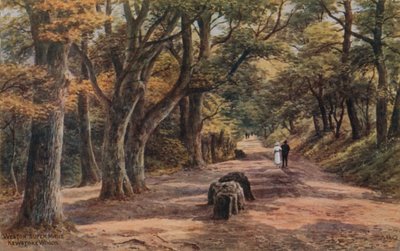 Weston-Super-Mare, Kewstoke Woods autorstwa Alfred Robert Quinton