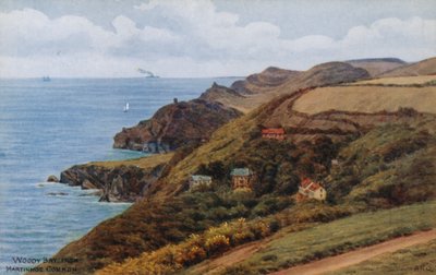 Zatoka Woody Bay, z Martinhoe Common autorstwa Alfred Robert Quinton