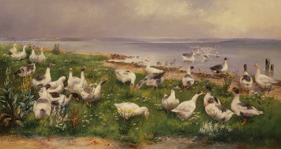 Gęsi autorstwa Alfred Schonian