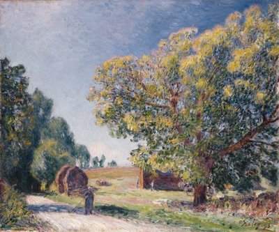 Polana w lesie, 1895 autorstwa Alfred Sisley
