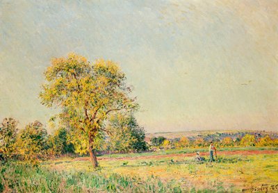 Letni dzień, 1886 r. autorstwa Alfred Sisley